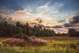 Eines Morgens im August. / ***