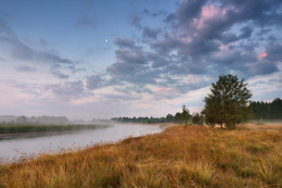 On the morning of Schare / ***