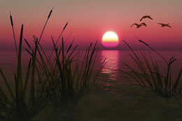 Flying migratory birds ... / ***