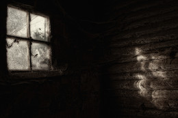 In the closet / ***