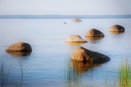 Onega Sketch / ***