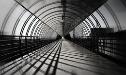 Shadows at Noon / ***