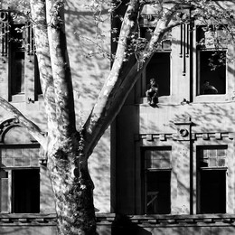 Shadows at Noon / ***