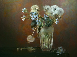 Entangled in the June dandelions ... / ***