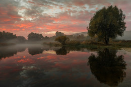 Scarlet morning / ***