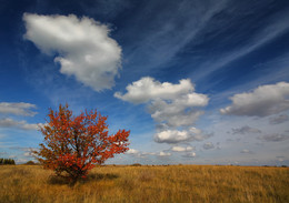 Warm fall?. / ***
