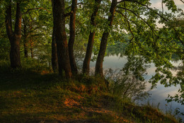 The evening on the banks of the Sozh / ***