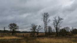 Autumn wind / ***