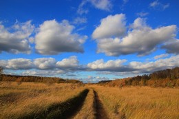 Herbstpfad. / ***