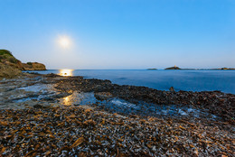 Amber Coast / ***