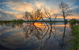 Silence in flood / ***