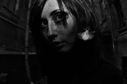 Portrait of a series of Trash / ***