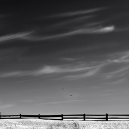 Windy / ***