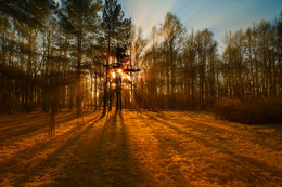 Good morning) / ***