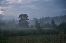 Blue mist / ***