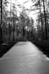 World through the eyes of people with poor eyesight ... / ...