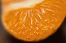 Citrus / ...