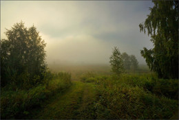 In the mist / ***