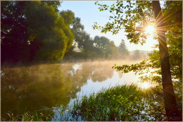 morning / ***