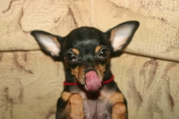 And so you get a little :) / ***