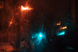Light hallucinations / ---