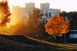 Light hallucinations / ***