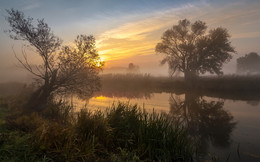 Autumn depth / ***
