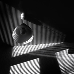 Light hallucinations / ***