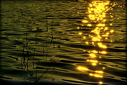Light hallucinations / ***