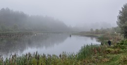 Guten Morgen, Karpfen! / ***