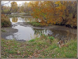 Landscape Images / ***