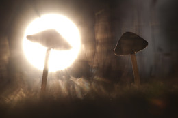 Meeting with UFO / ***