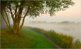 morning fog / ***