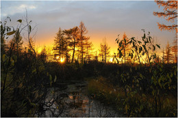 At sunset / ***