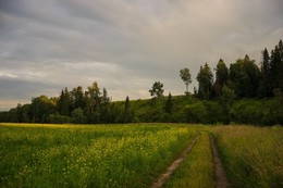 A little bit of summer ... / ***