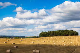 Glade Belarus / ***