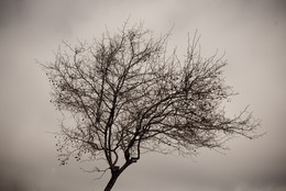 kalt / ***