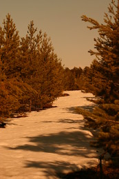 North Spring / ***
