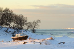 Winter pezazh / ***