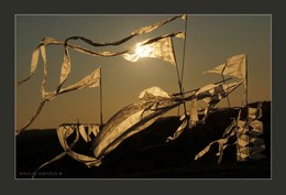 Shambal 2. 2015 (Installation) / music: Bjork - Venus as a boy
http://www.youtube.com/watch?v=ZaxUZH0cbhM