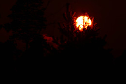 the sun at sunset / ***
