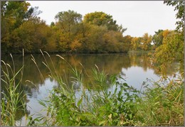 Landscape Images / ***