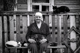 Portrait eines Klee / ***
