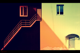 Friday ladder / ***