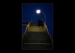 Friday ladder / ***