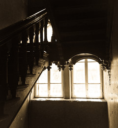 Friday ladder / ...
