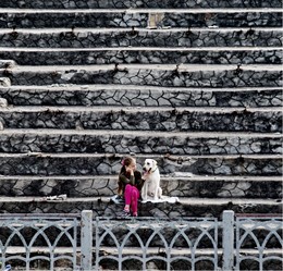 Friday ladder / Friends