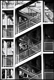 Friday ladder / ***