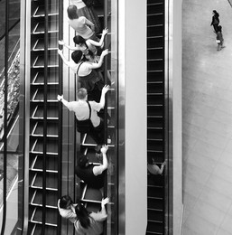 Friday ladder / ***