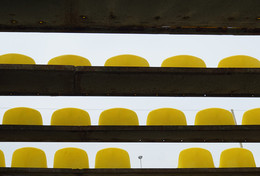 Friday ladder / ***